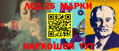 прущие грибы Комсомольск-на-Амуре