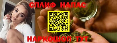 прущие грибы Комсомольск-на-Амуре