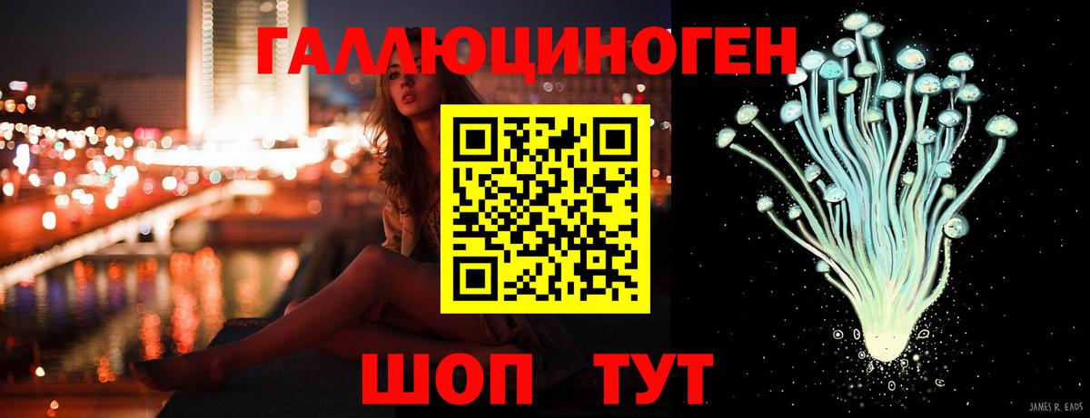 Псилоцибиновые грибы ЛСД  Псилоцибиновые грибы MAGIC MUSHROOMS  Чебоксары  наркотики  Вход с VPN 
